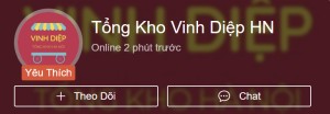 VD-HN-300x104
