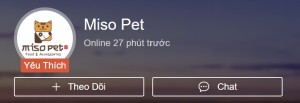 miso-300x103